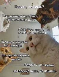 Как выглядят женские спальни, которые они обустроили как холостяцкие берлоги