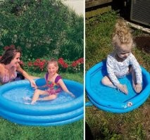 Доставка еды уличным котам