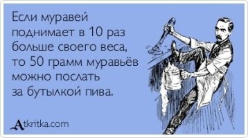 Мирмекология: малоизвестные факты о муравьях