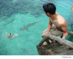35 жутких фото, которые оправдывают боязнь глубокой воды