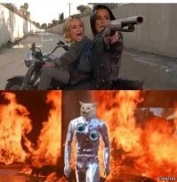 Свежее пополнение убойных вывесок