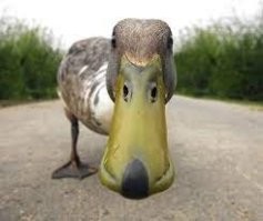 Не ищите здесь смысл. Здесь в основном маразм