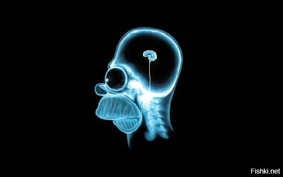 Удивительные рентгеновские снимки, способные шокировать врачей