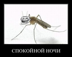 Почему считается, что комары не залетают на верхние этажи