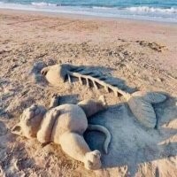 18 забавных пляжных снимков