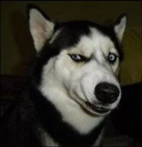 ну да, ну да)