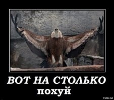 Ивар Калныньш предположил, что Хаматова уже думает, как вернуться в Россию