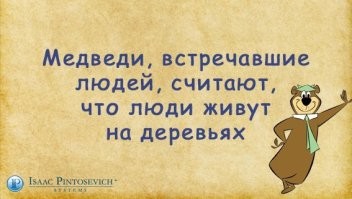 Внезапная встреча мужчины с медведицей и медвежатами