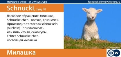 Калейдоскоп позитива. Выпуск 131