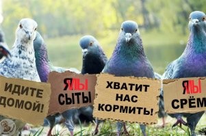 Калейдоскоп позитива. Выпуск 131