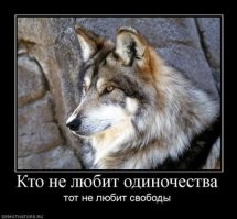 Кому живётся весело, вольготно на Руси? Женатые VS холостяки