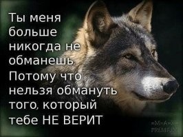 Нас не обманешь...