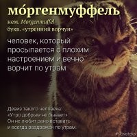 А Morgenmuffel мило звучит