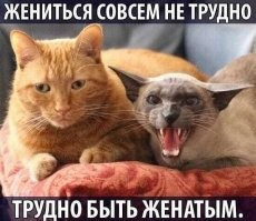 Кому живётся весело, вольготно на Руси? Женатые VS холостяки