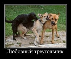 Самые известные "любовные треугольники" российской истории