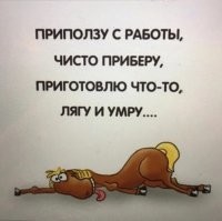Скрины из соцсетей