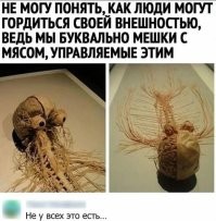 Мы, всё чем мы себя осознаём, думаем, считаем и чувствуем - это всего 1,5 кг мозга, остальное лишь туша мяса, мышц и органов весом около 70 кг, которые мы пилотируем.