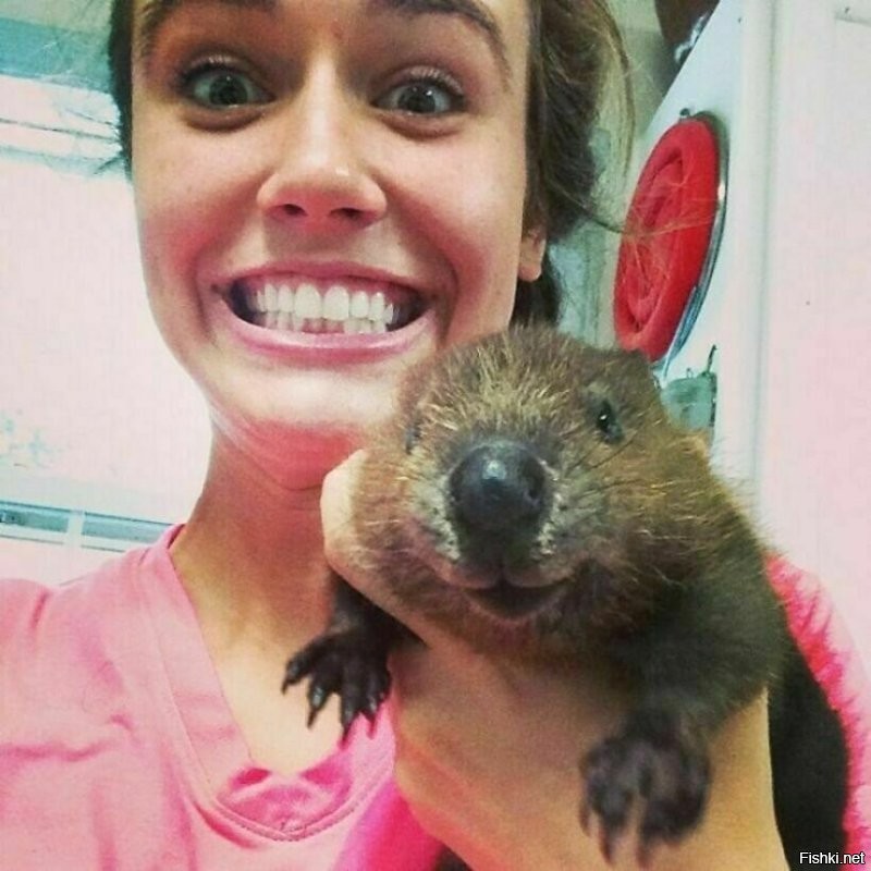 В англоязычных странах слово "бобёр" - beaver так же означает волосатый женский лобок. Похоже она понимает шутку:
