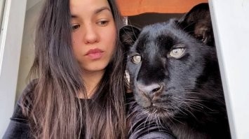 Люди, которые смогли не только найти общий язык с дикими животными, но и подружиться с ними