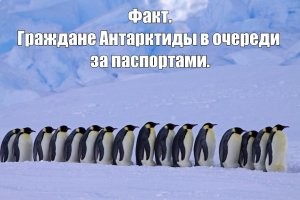 Калейдоскоп позитива. Выпуск 133
