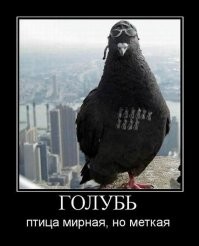 Калейдоскоп позитива. Выпуск 133