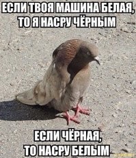 А что тут непонятного!!!