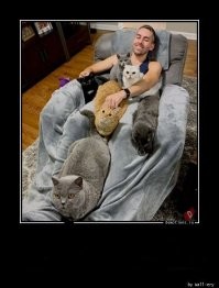 Попугаи ара дорогие.Есть более дешевый вариант.