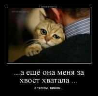  Кот жалуется на жизнь