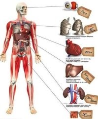 Непальская деревня, где практически у всех жителей только одна почка