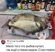 "Еда бедняков": откуда берёт своё начало пицца