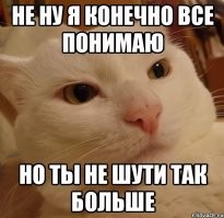 Калейдоскоп позитива. Выпуск 135