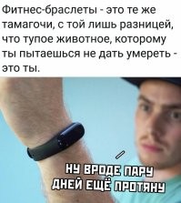 Калейдоскоп позитива. Выпуск 135