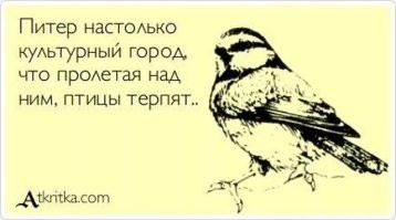 Калейдоскоп позитива. Выпуск 135