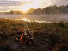 Произведения искусства, которые вызывают умиротворение и уменьшают тревогу