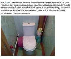 50 самых странных туалетов со всего мира