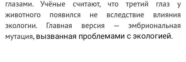 15 удивительных природных явлений