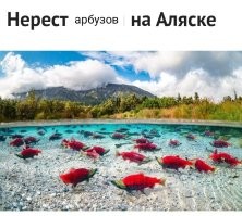 15 удивительных природных явлений