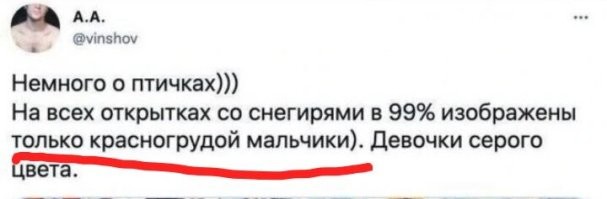 Моя твоя не понимай...