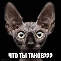 :)