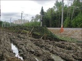 В Питере расстелили газон перед приездом губернатора. А потом убрали