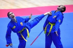 Я такое в автоподставах видел и в болливудских боевиках
