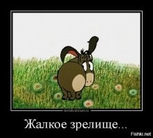 Очередная бездушная мыльница без характера и харизмы оригинала.