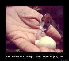 "Ну мы же милые?": забавные фото с домашними змеями