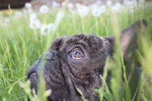 Совершенно согласен со всем сказанным!

P.s Собственно мой говнюк :)