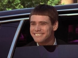 Лев с лоховской причёской покорил соцсети