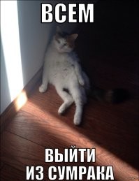 а, если без шуток, я не знаю где вы там её разглядели в тени на таком говнокачестве видео?! на 0.06 она появляется из леса под углом 45* к дороге....