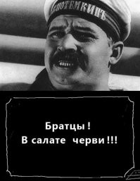 Необычное школьное меню: в Британии решили кормить школьников насекомыми