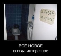 50 самых странных туалетов со всего мира
