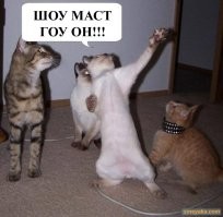 Скрины из соцсетей