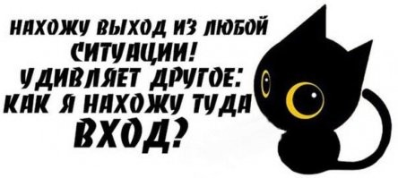 Скрины из соцсетей